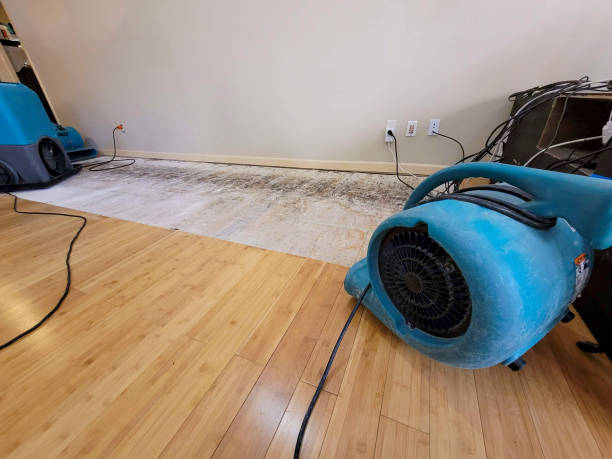 Professional Sewage Cleanup technician working in Pittsboro, NC